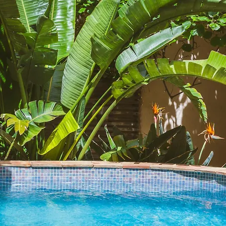 Maison Magdeleine Βίλα Σαιν-Τροπέ