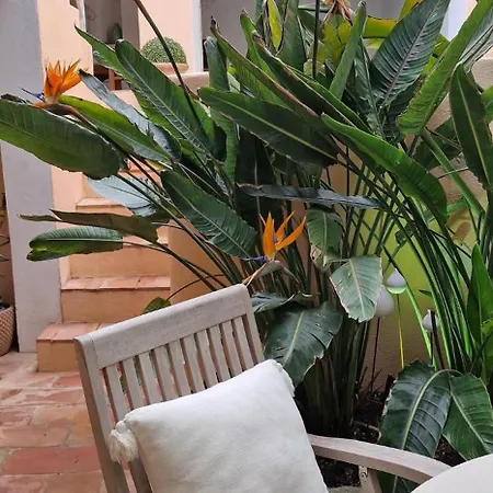 New Magdelein Villa Saint-Tropez